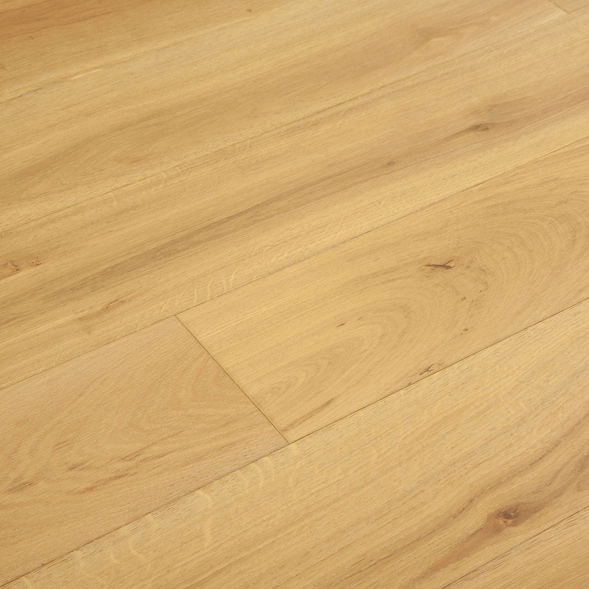 Shannon AB oak angle