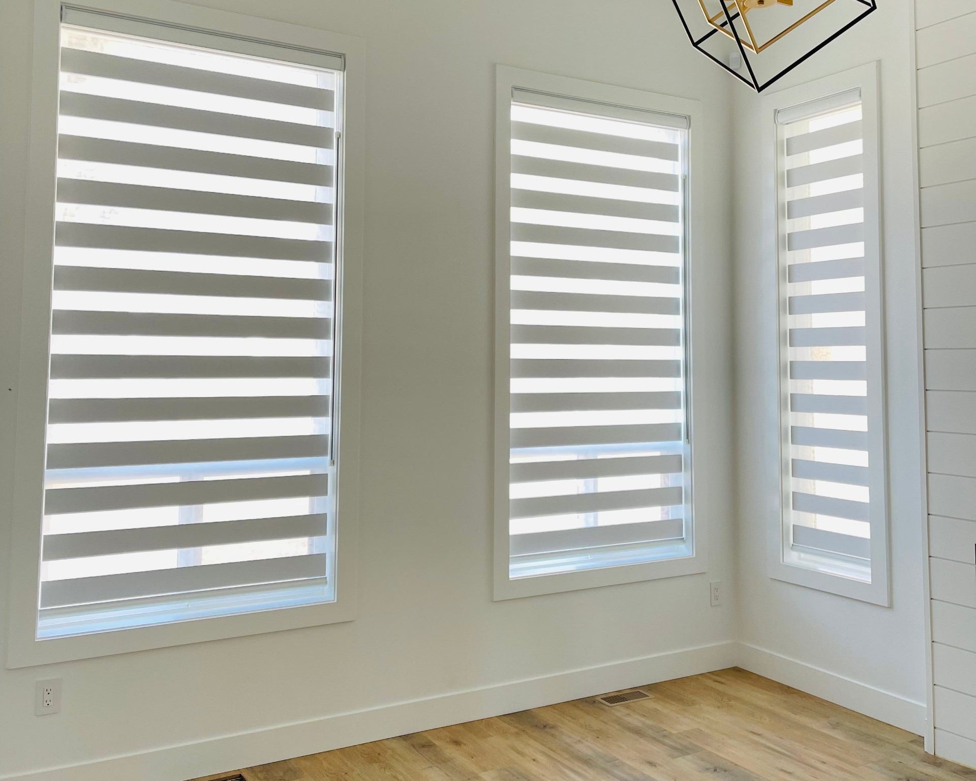 Zebra Vella 23 – Pacific Urban Finishes